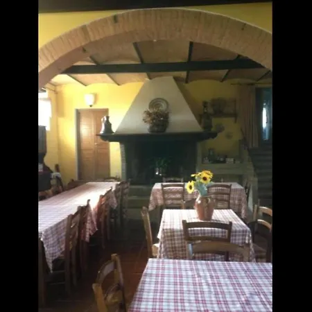 Affittacamere In Holiday House - Enjoy Umbria - Italian Countryside Allerona