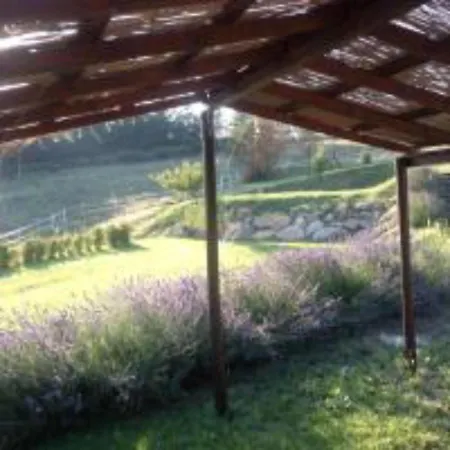 In Holiday House - Enjoy Umbria - Italian Countryside *